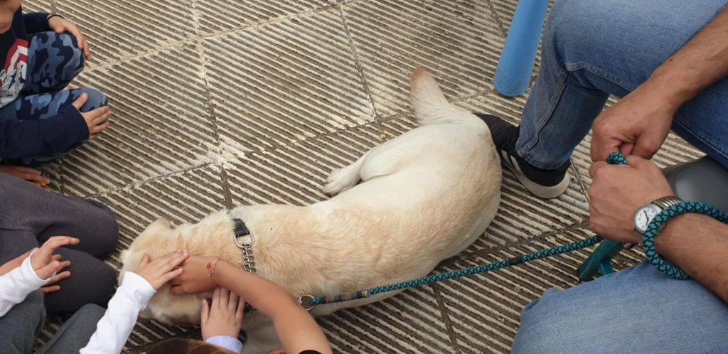 d69eaaf6 ce79 4315 ad3f 3f7f62b4c63d