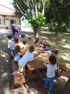 IMG 7bbcd5f41ec93eaae60d2e469a86aa9f V