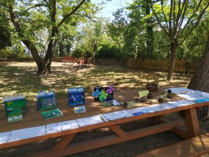 IMG e73cd83bd3b064e916d1c66e7c858d6e V