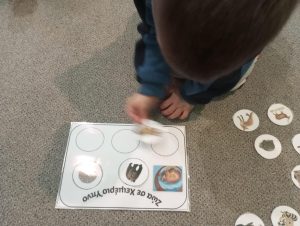 a0f2bc28 cb5e 4d29 9fa4 38f4dda7ee12