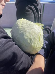 image65