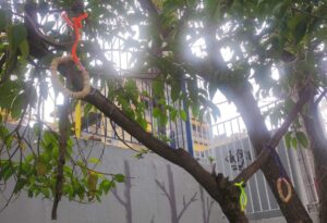 0 02 05 db6c964bc52074c64699b27e8b34fe267047f448d4d151d0cbff72b4ce9a83d2 5a44749dd1e8b3f2