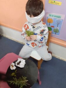 Messenger creation CE74A36F BA2D 4051 9FF0 5E7B9B75FC49