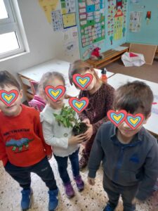 orca image 1968866121.jpeg