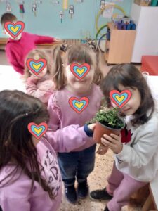 orca image 2133064940.jpeg