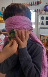 orca image 26224297.jpeg