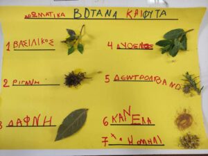 received 1813114835895938