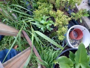 received 970213931872376