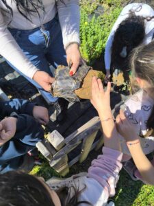 received 1149435666477252