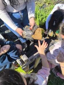 received 1153338206054171