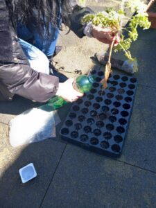 received 1162588098365456