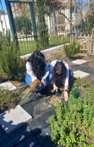 received 1203809234513892 1