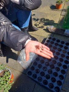 received 1627675264532953