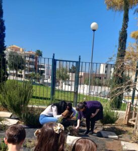 received 2454281518263295