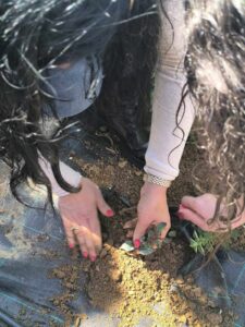 received 542090752233685