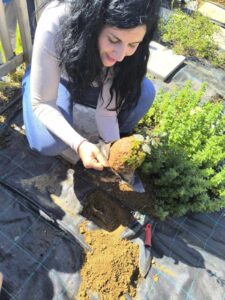 received 564933649930975