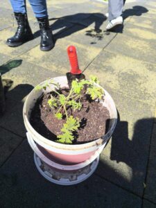 received 650298807589657