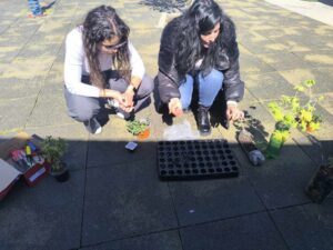 received 865250562362639