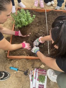 IMG 302830e1d9e6e12f6589c2418d8d98c7 V