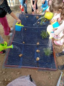 IMG 5c0551aadcc7c213146440e6681505ce V