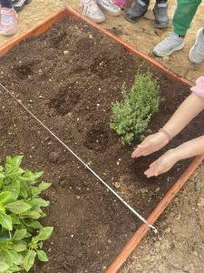 IMG 96df4d764ce444302e9749c6e158b3e9 V 1