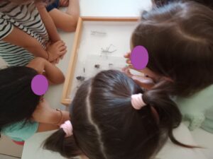 0a2d517b 797e 4a63 aa85 6e11f07c19f6