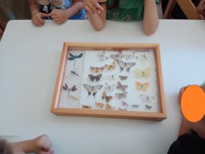 1bb93037 daf6 4da9 aab1 38f484587cdf