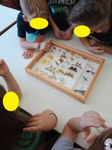 3ed25296 0f7d 4532 8e6e dcc0cff7055c