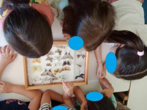 638f628f f989 477f 872e 44c74e44de0a