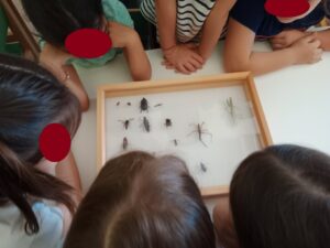 6ea8044e 658a 4065 a349 940b54b90aa7