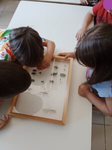 a9754cff 6e00 4c0b 9251 29af1a9fced3