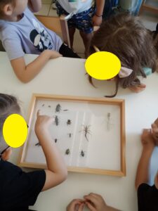 b3be8dfb a575 422d 851a 22eec06a83ab