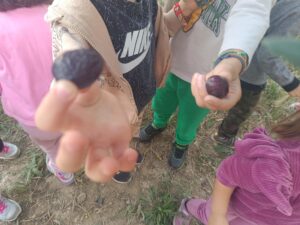 8243b7c8 eb51 4c07 a8d4 d9e3a31c6fd1