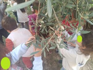 a10e863b 2cec 4322 a5f6 fc49ab811bf7