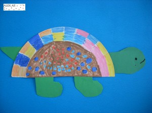 Alex's turtle