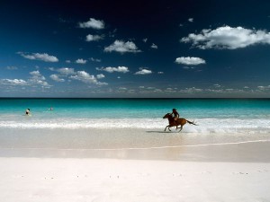 Bahamas beach of Harbour Island