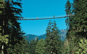 CapilanoSuspension3