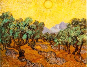 Vincent van Gogh Olive Trees with Yellow Sky and Sun 1