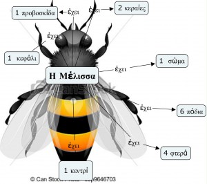 H μέλισσα έχει τόσα