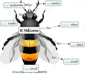 Πόσα έχει η μέλισσα;