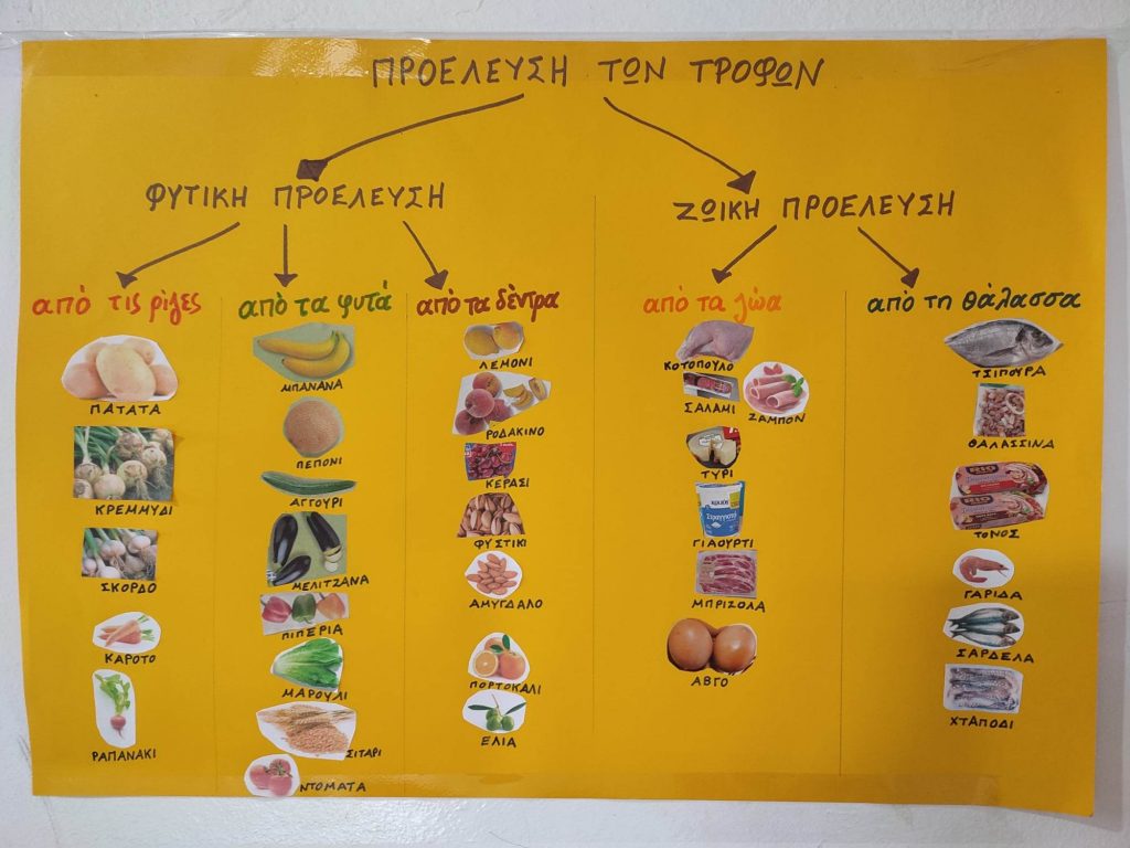 των τροφών ανάλογα με την προέλευσή τους