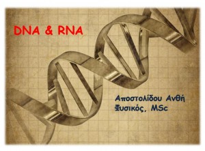 dna-rna