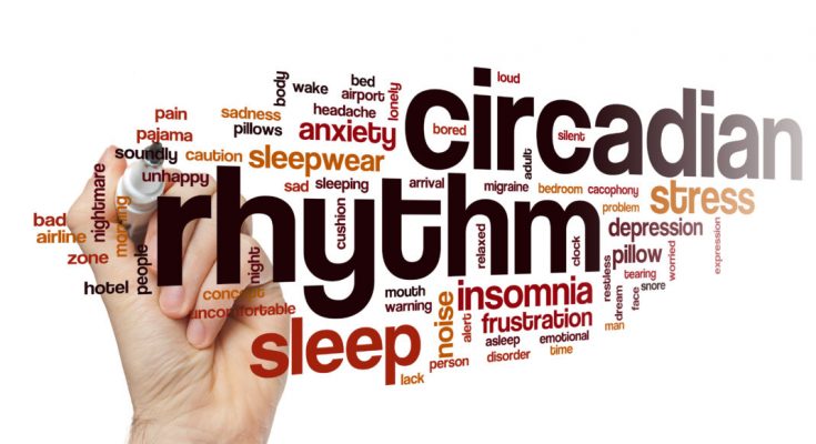 Circadian rhythm word cloud