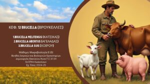 Colorful Realistic Farm Animal Information Presentation