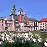 WAWEL CASTLE 2