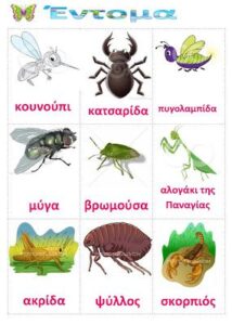 002583ff8e6858782ccb8f276d6d52c4