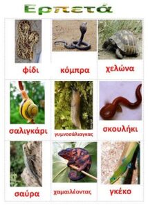 964dc9eb107498c94a5a6d5a8f2ebeba