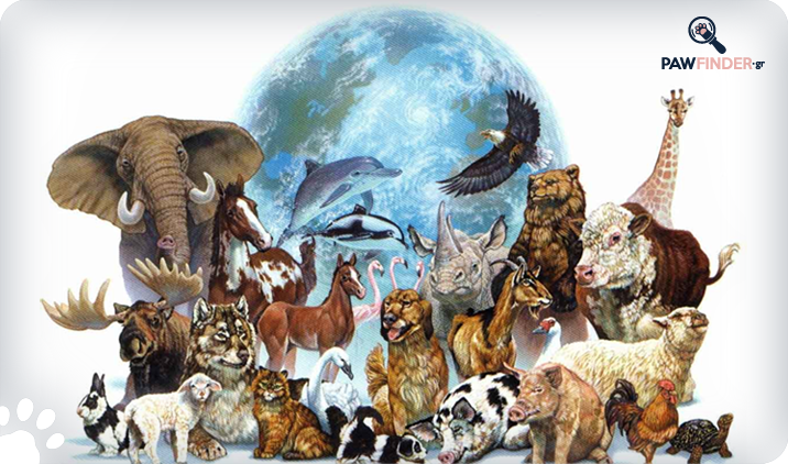Post Others WorldAnimalDay