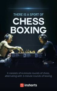 chess boxing 3