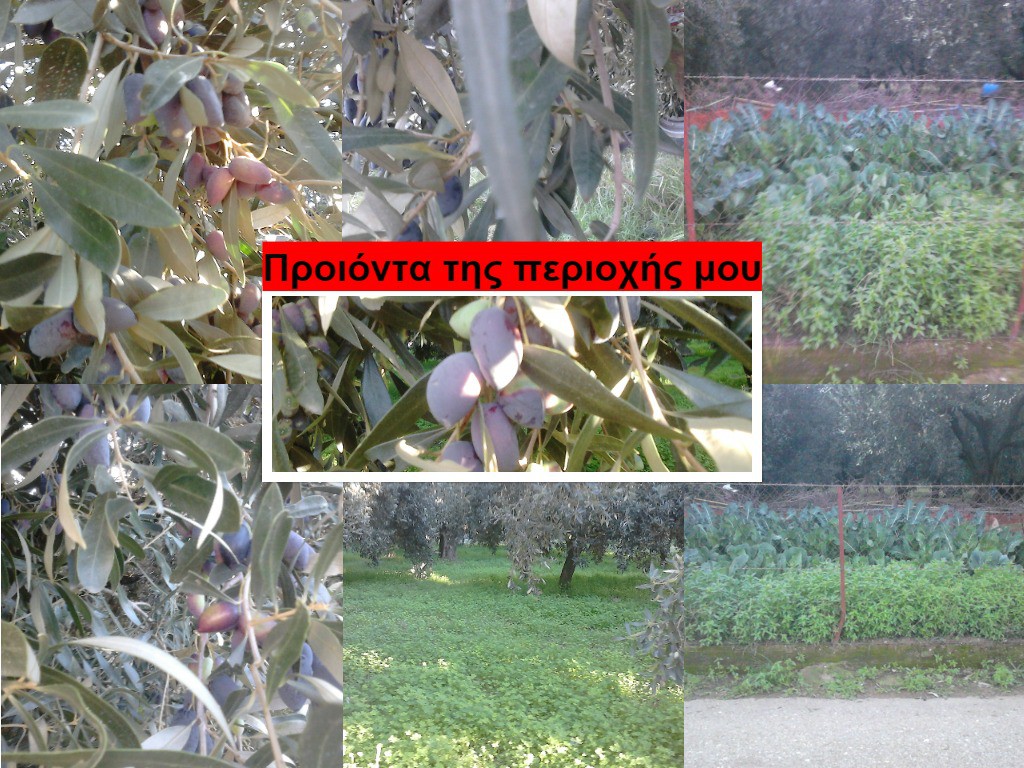 προιοντα